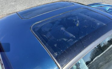 Pontiac-Firebird-trans-am-1981-blue-blue-53