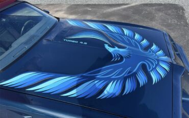 Pontiac-Firebird-trans-am-1981-blue-blue-59