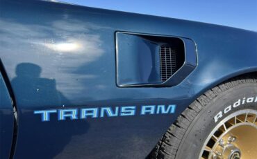 Pontiac-Firebird-trans-am-1981-blue-blue-61