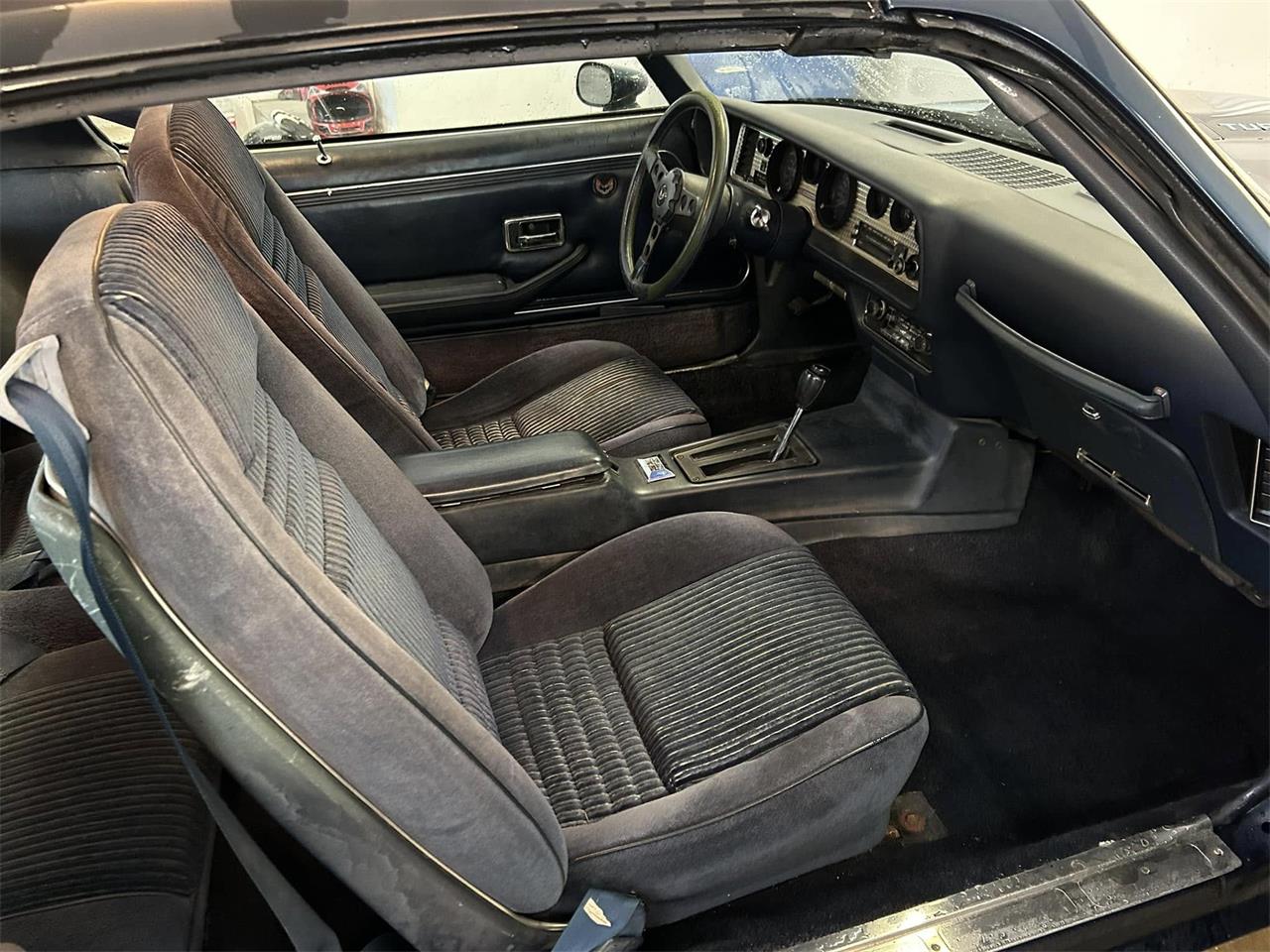 Pontiac-Firebird-trans-am-1981-blue-blue-65