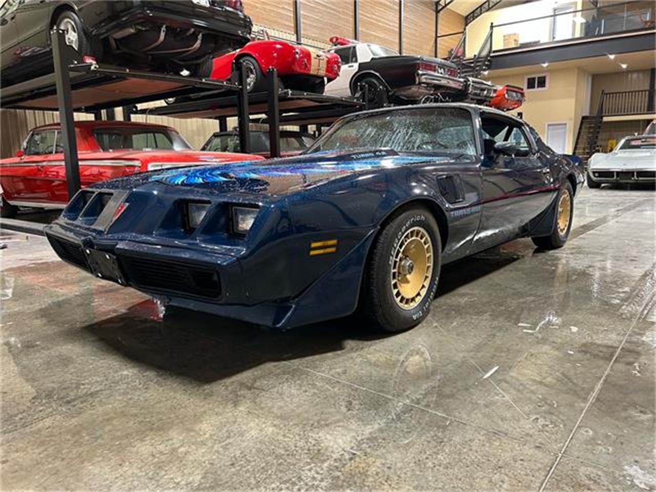 Pontiac-Firebird-trans-am-1981-blue-blue-7