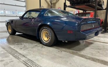 Pontiac-Firebird-trans-am-1981-blue-blue-9