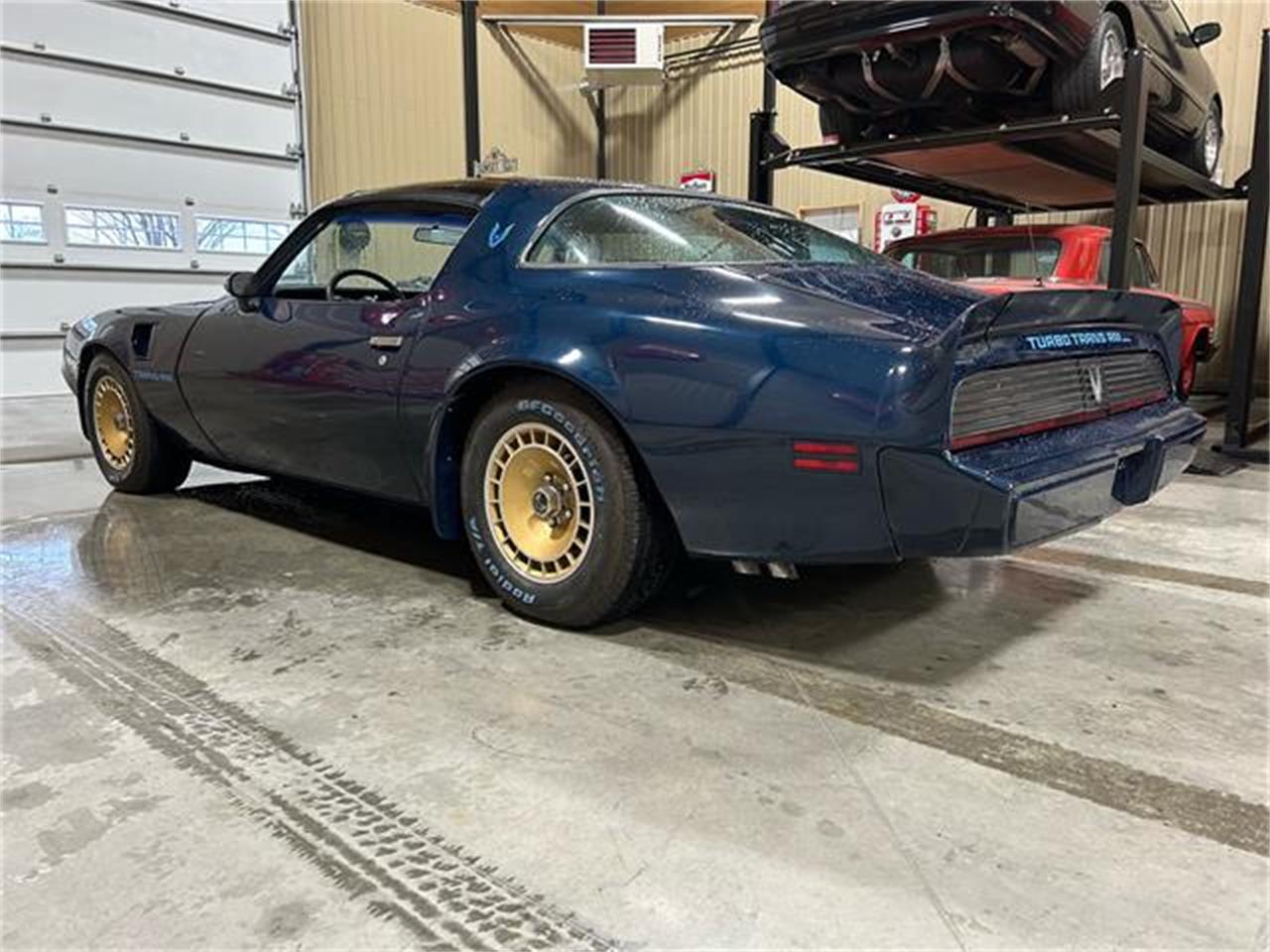 Pontiac-Firebird-trans-am-1981-blue-blue-9