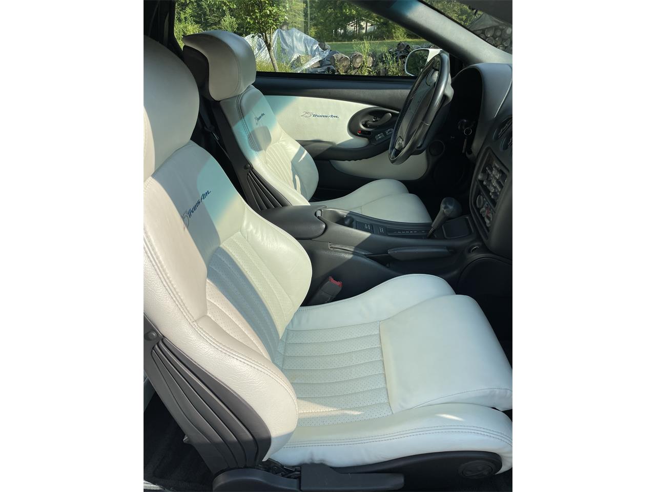 Pontiac-Firebird-trans-am-1994-Bright-white-primary-White-10
