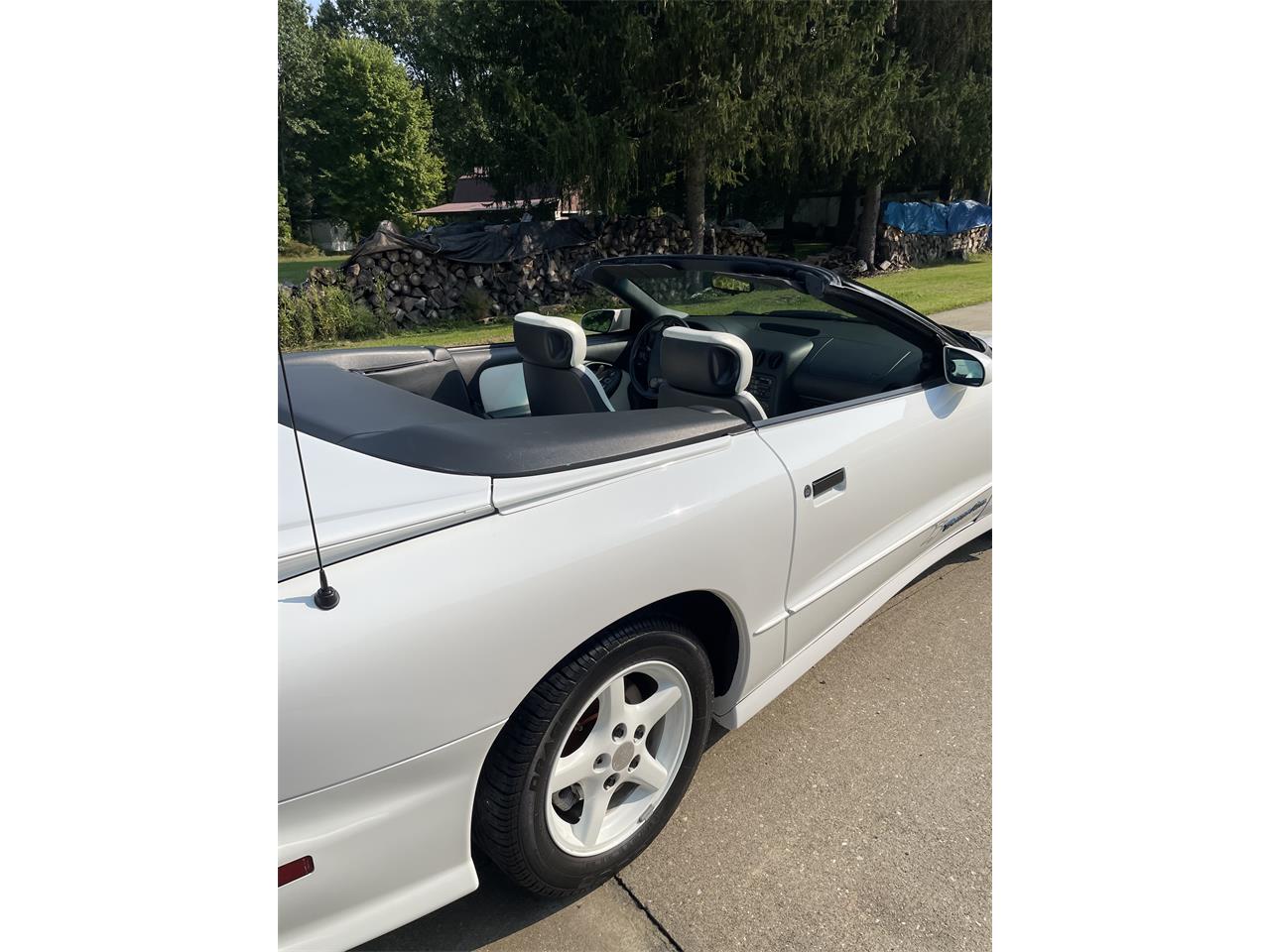 Pontiac-Firebird-trans-am-1994-Bright-white-primary-White-3