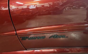 Pontiac-Firebird-trans-am-1994-Hawaiian-Orchid-Meta-Gray-13