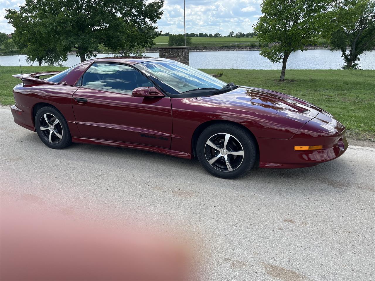 Pontiac-Firebird-trans-am-1994-Hawaiian-Orchid-Meta-Gray-5