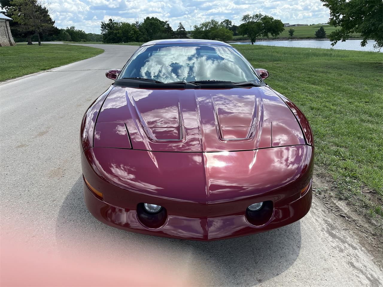 Pontiac-Firebird-trans-am-1994-Hawaiian-Orchid-Meta-Gray-7