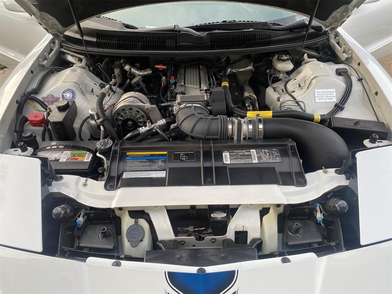 Pontiac-Firebird-trans-am-gt-25th-anniversary-1994-White-White-13