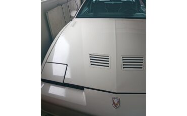Pontiac-Firebird-trans-am-gta-1989-White-Grey-8
