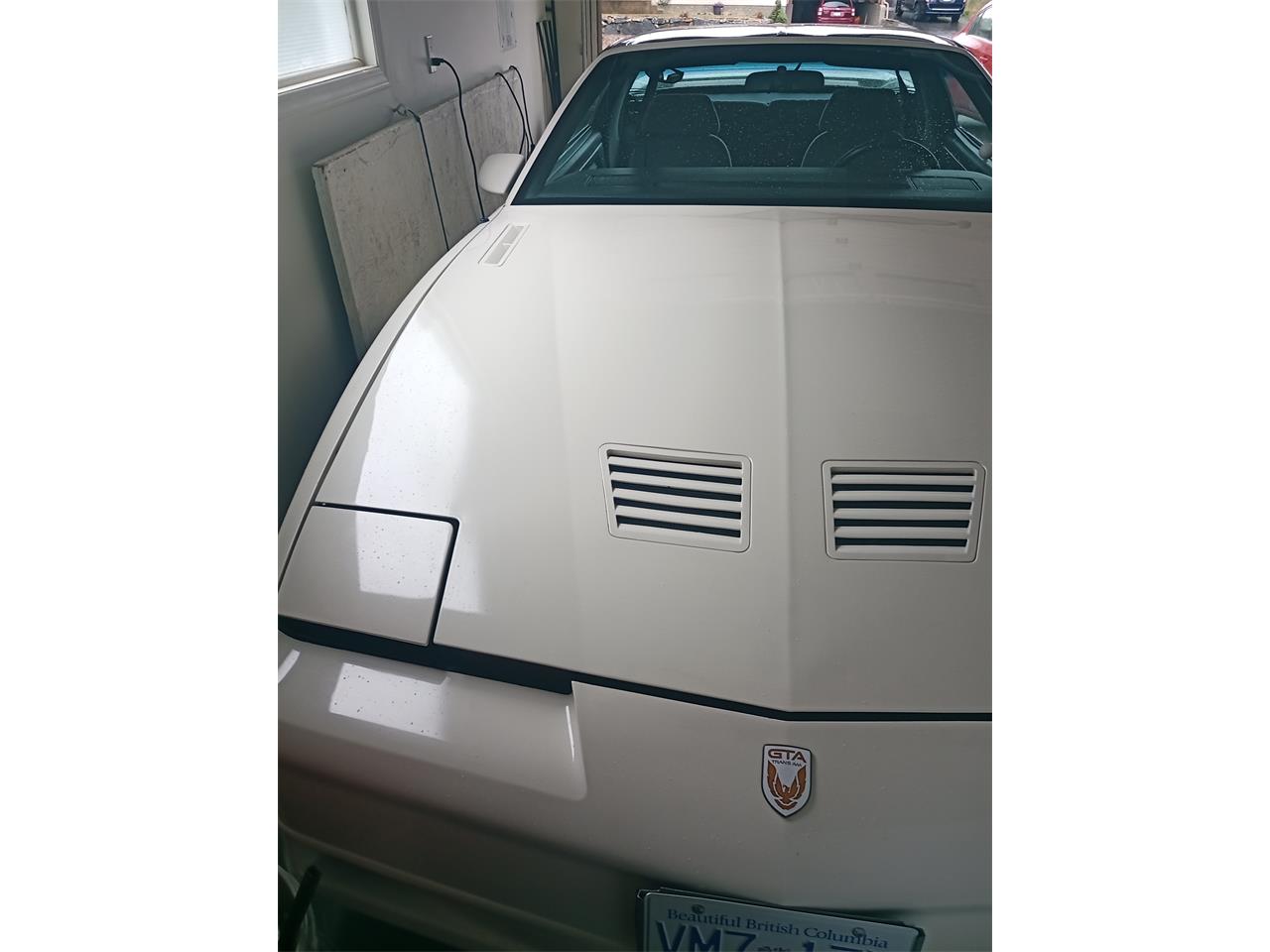 Pontiac-Firebird-trans-am-gta-1989-White-Grey-8