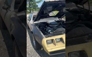 Pontiac-Firebird-trans-am-se-1979-Black-Black-1