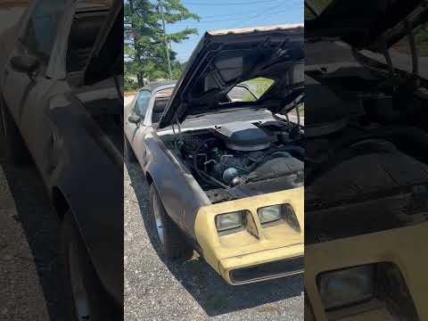 Pontiac-Firebird-trans-am-se-1979-Black-Black-1