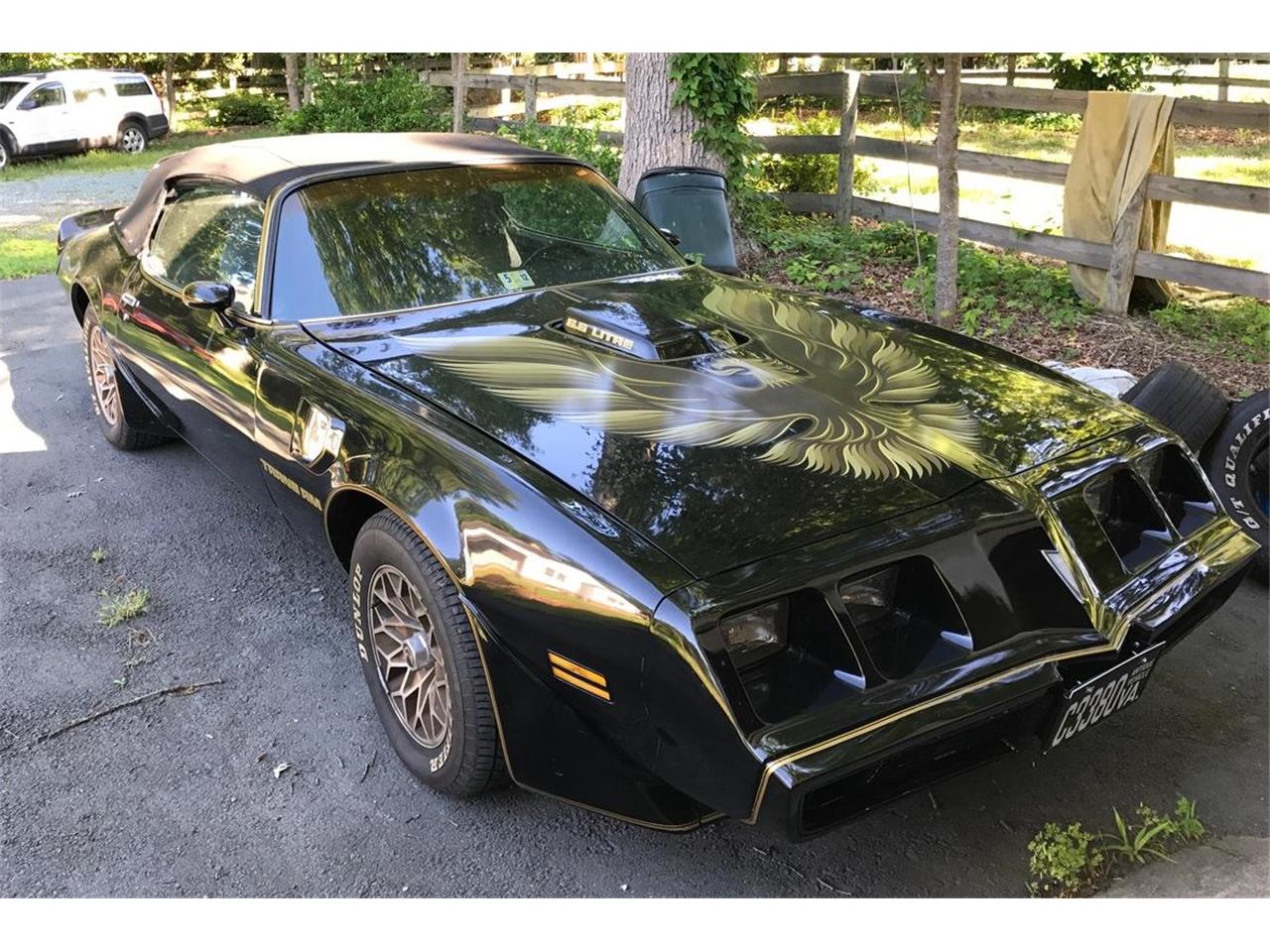 Pontiac-Firebird-trans-am-se-1979-Black-and-Gold-Black-1