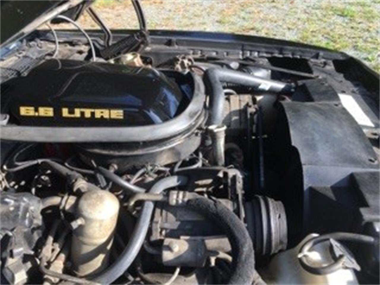 Pontiac-Firebird-trans-am-se-1979-Black-and-Gold-Black-18