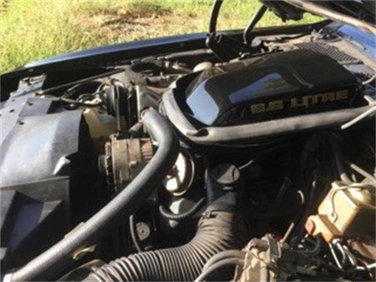 Pontiac-Firebird-trans-am-se-1979-Black-and-Gold-Black-19