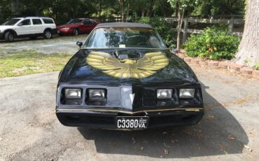 Pontiac-Firebird-trans-am-se-1979-Black-and-Gold-Black-2