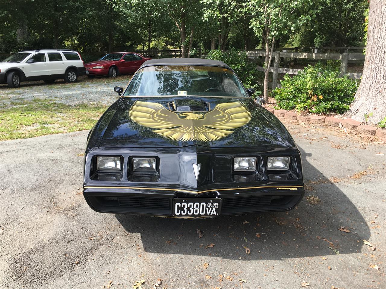 Pontiac-Firebird-trans-am-se-1979-Black-and-Gold-Black-2