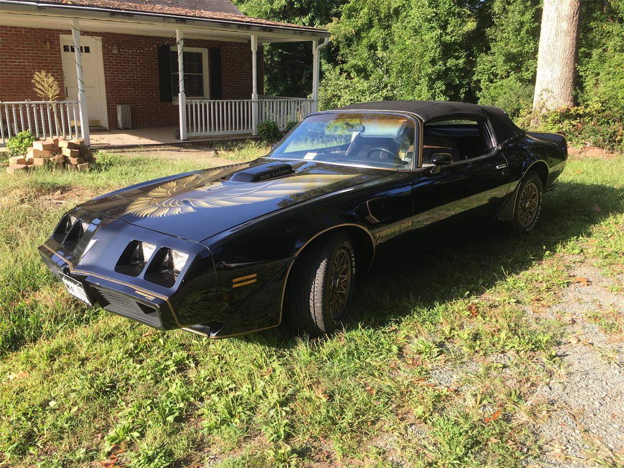 Pontiac-Firebird-trans-am-se-1979-Black-and-Gold-Black-4