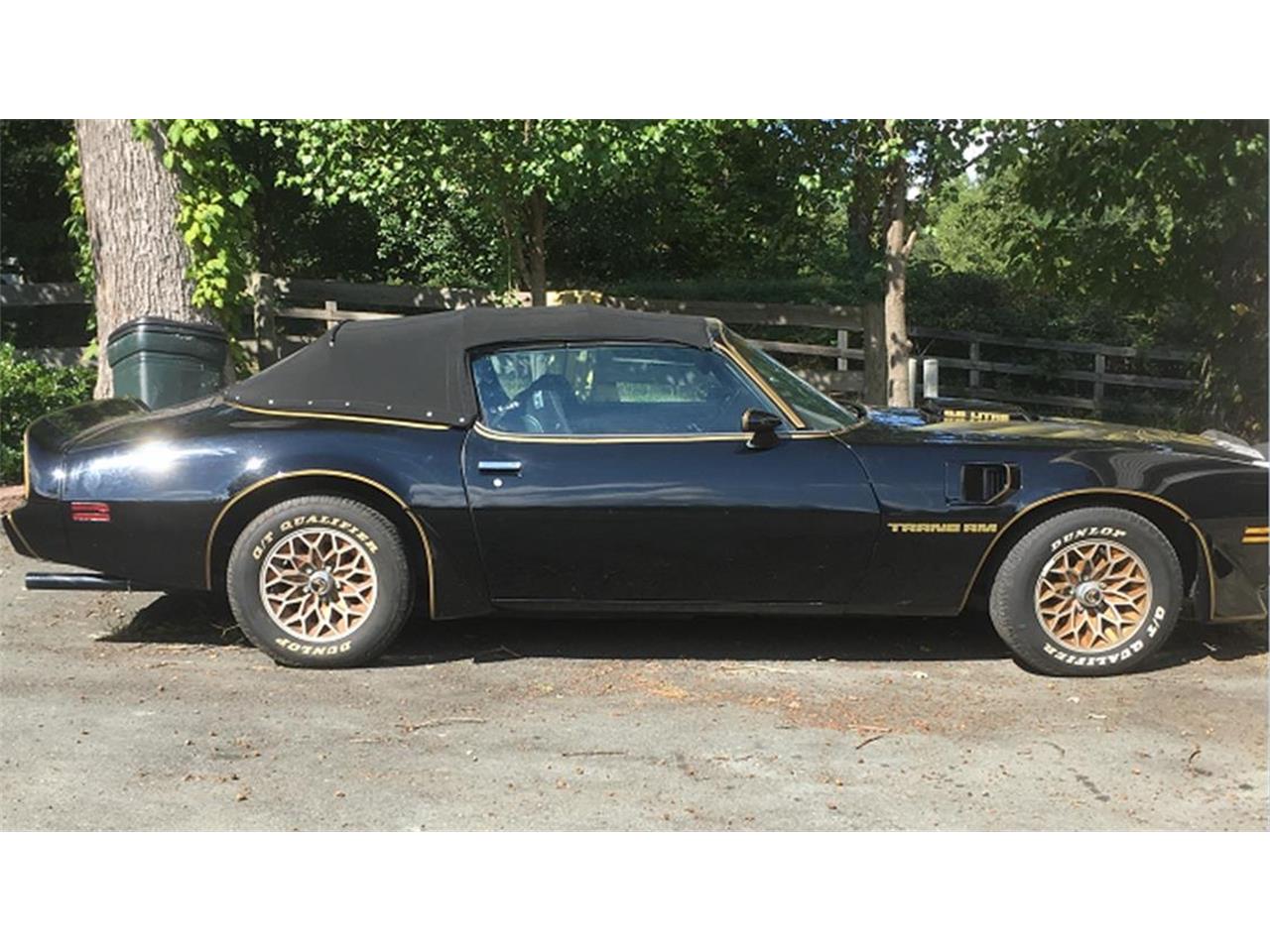 Pontiac-Firebird-trans-am-se-1979-Black-and-Gold-Black-5