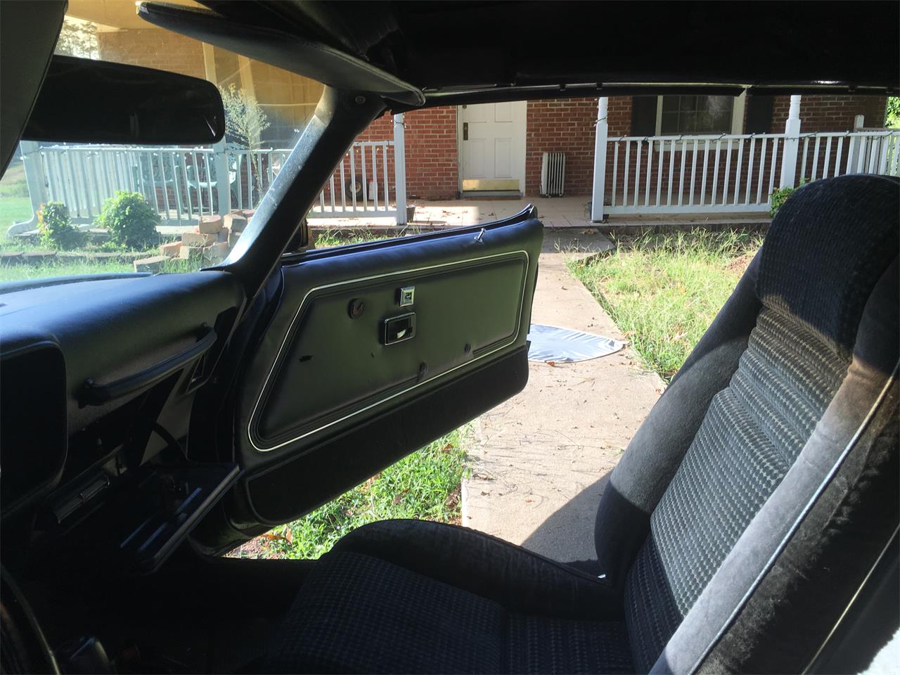 Pontiac-Firebird-trans-am-se-1979-Black-and-Gold-Black-8