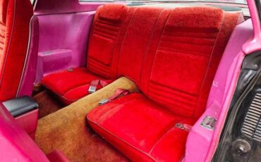 Pontiac-Formula-1978-black-red-22