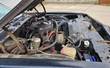 Pontiac-Formula-1978-black-red-36