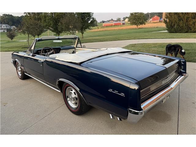 Pontiac-GTO-1964-2-Door-Convertible-19