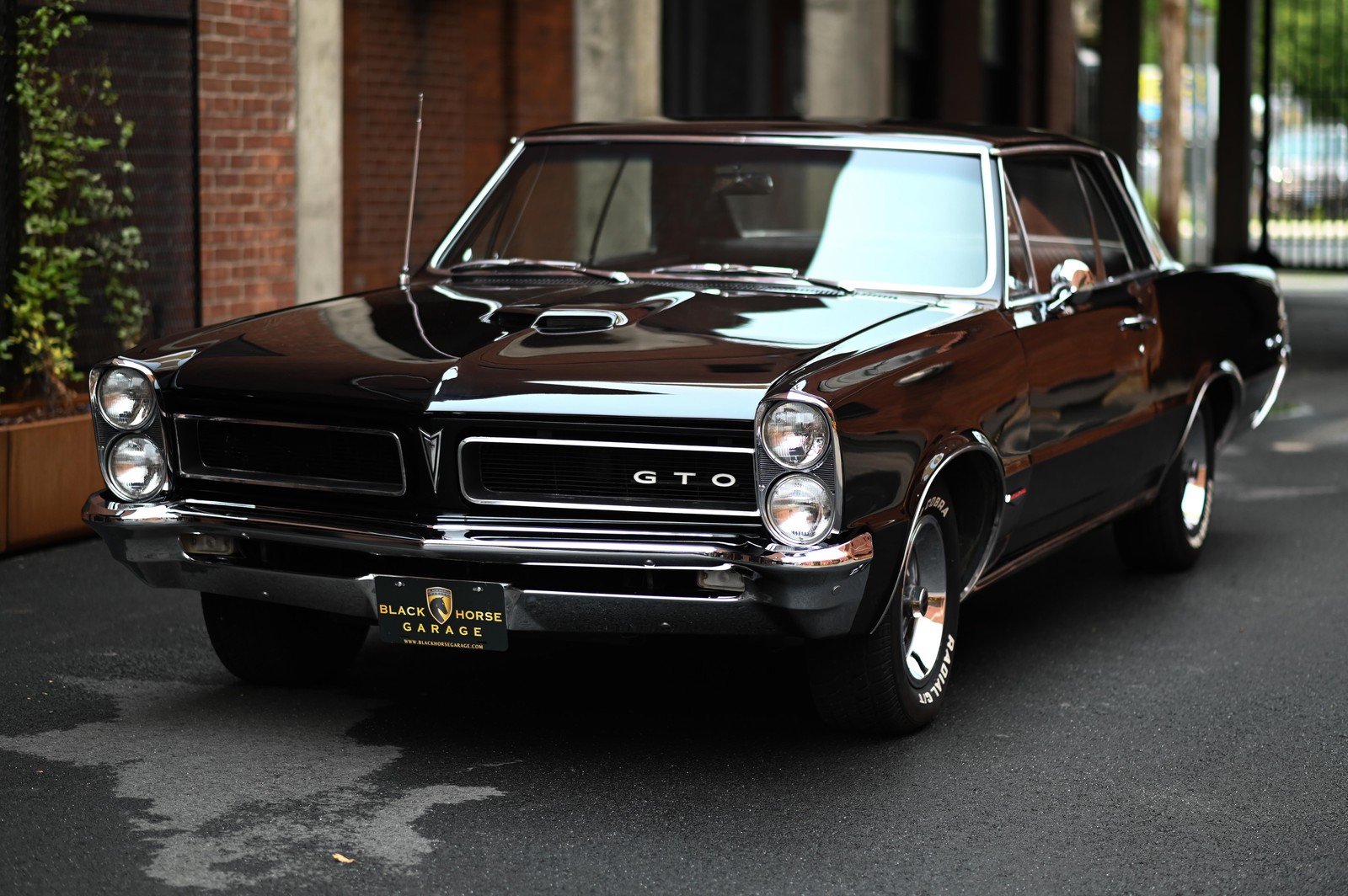 Pontiac-GTO-1965-1
