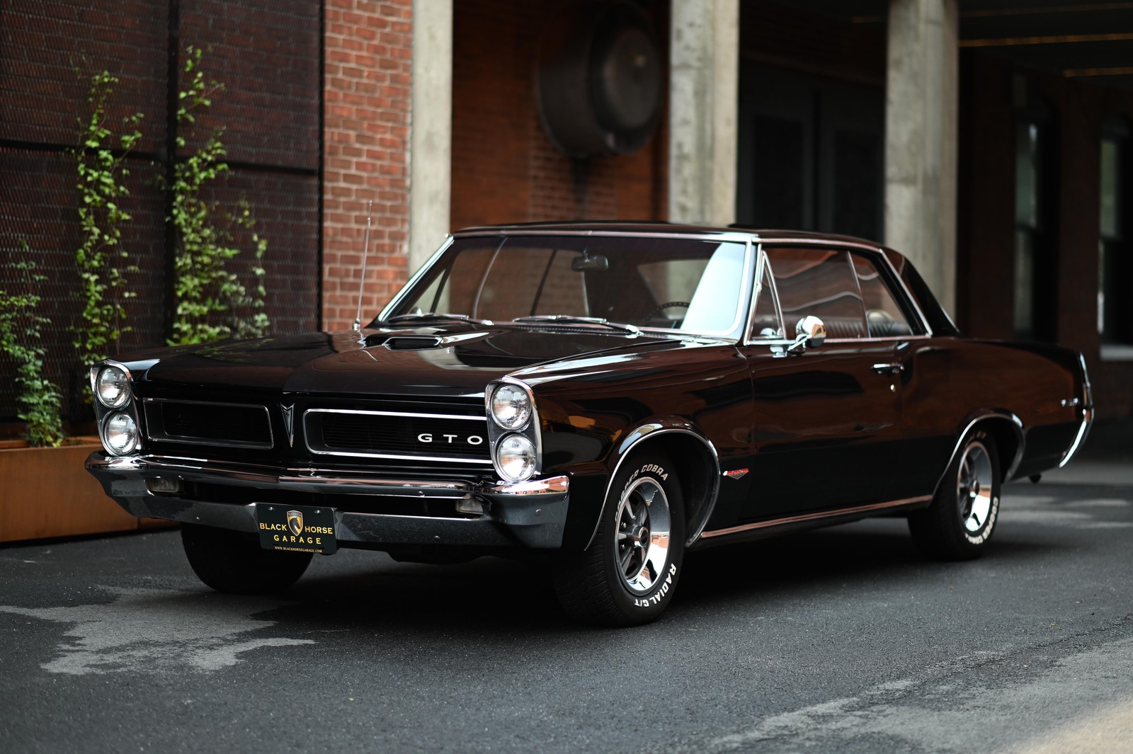 Pontiac-GTO-1965