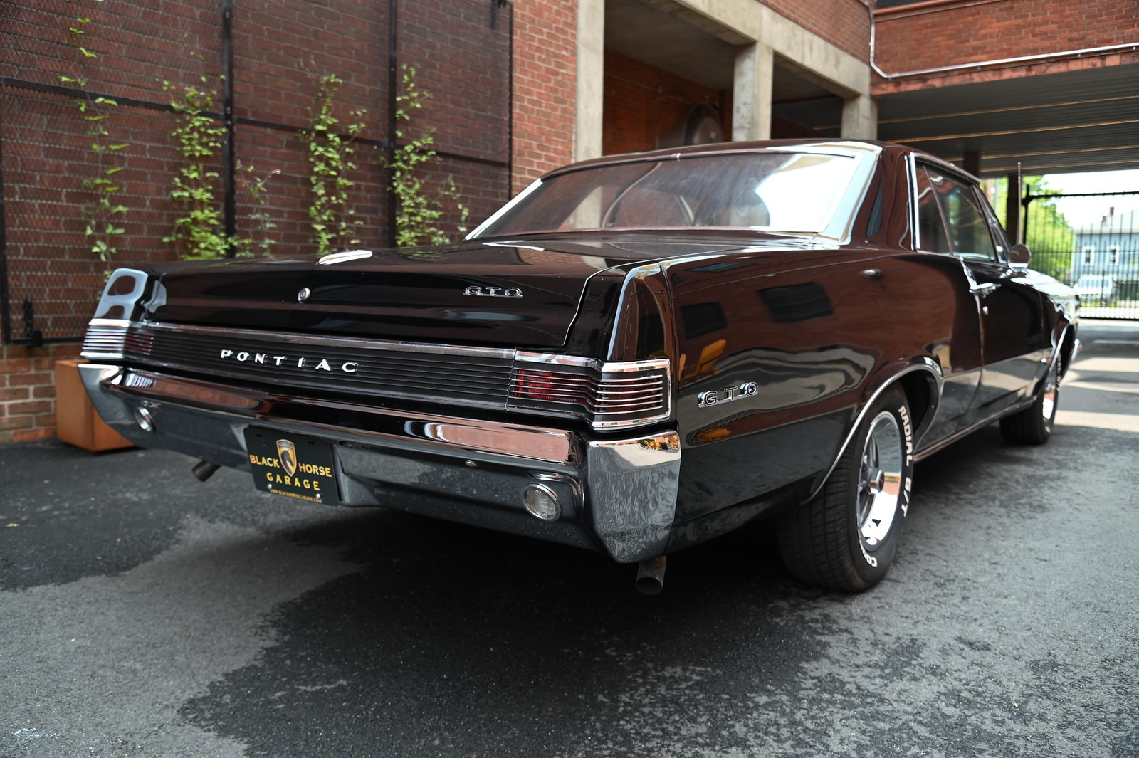 Pontiac-GTO-1965-6