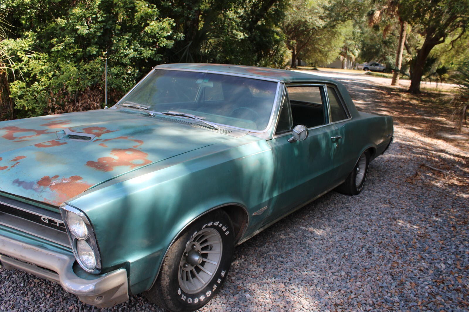Pontiac-GTO-1965-Coupe-10