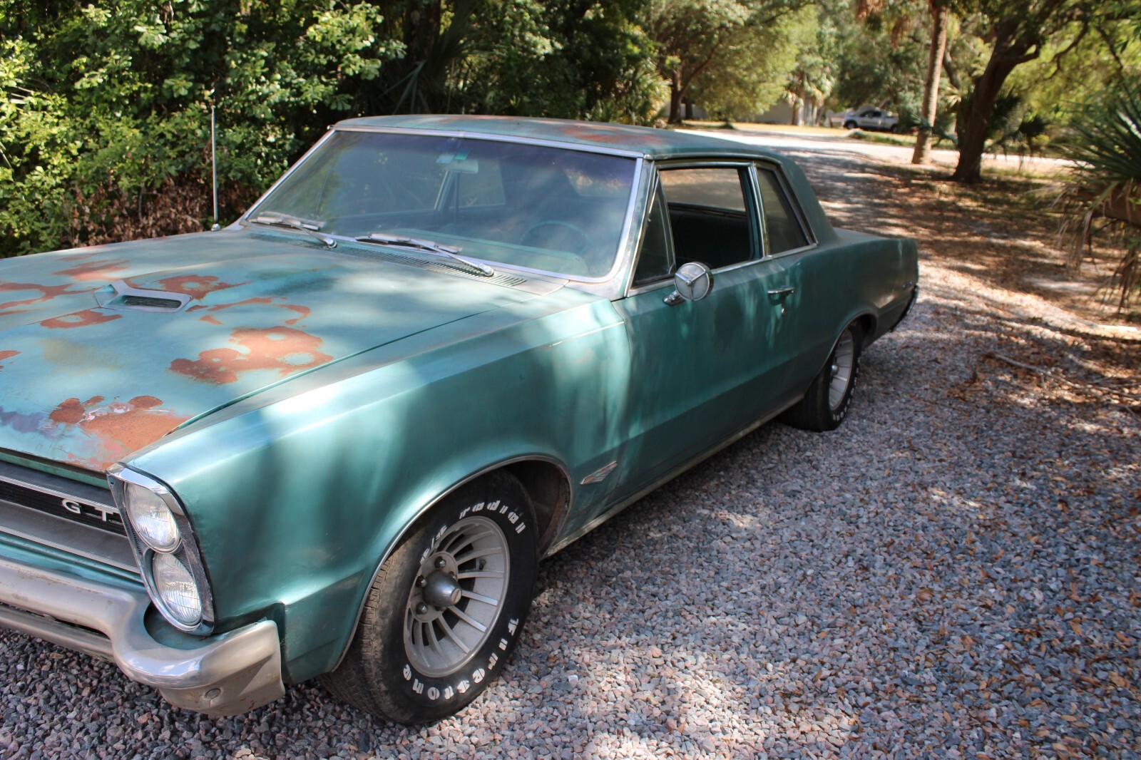 Pontiac-GTO-1965-Coupe-11