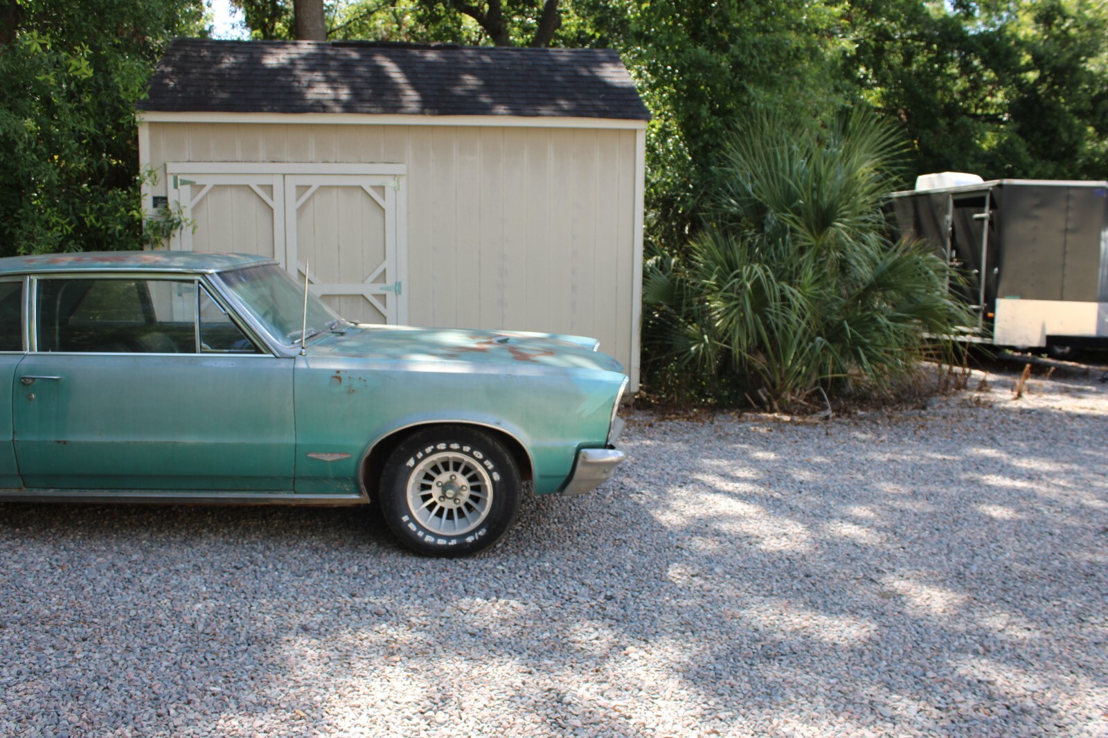 Pontiac-GTO-1965-Coupe-3