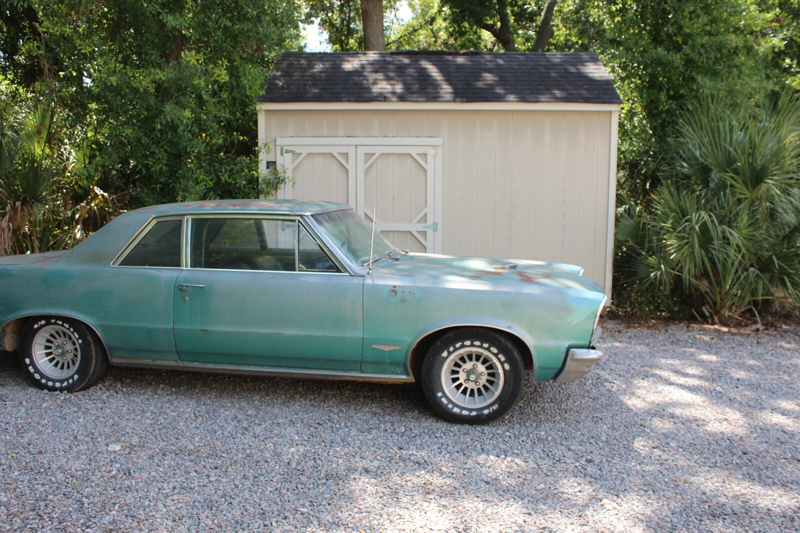 Pontiac-GTO-1965-Coupe-4