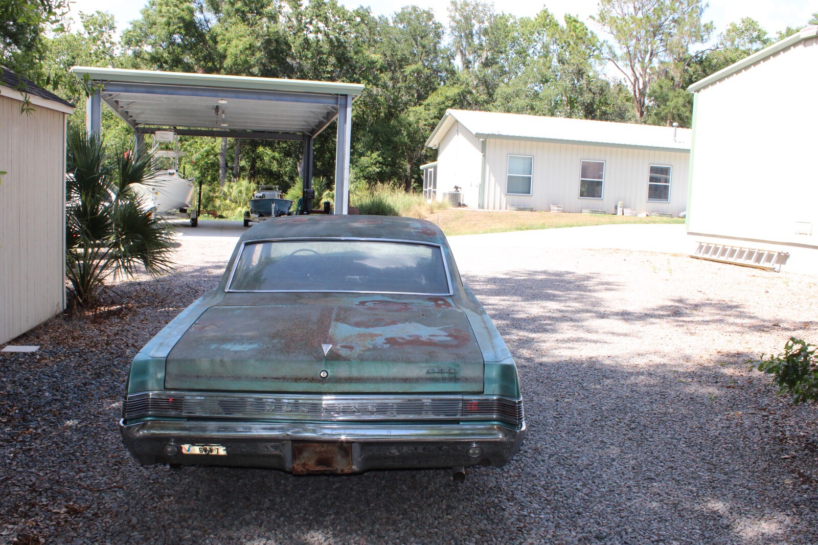 Pontiac-GTO-1965-Coupe-6