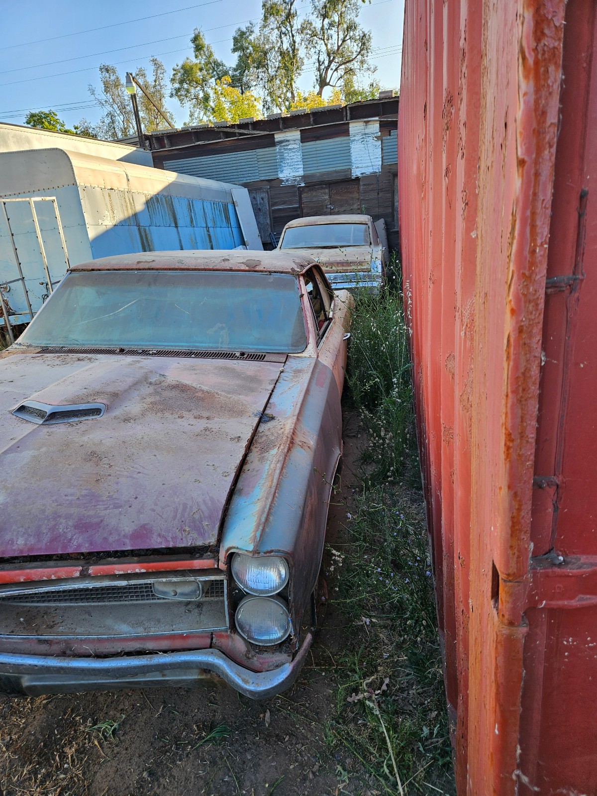 Pontiac-GTO-1966-Coupe-10
