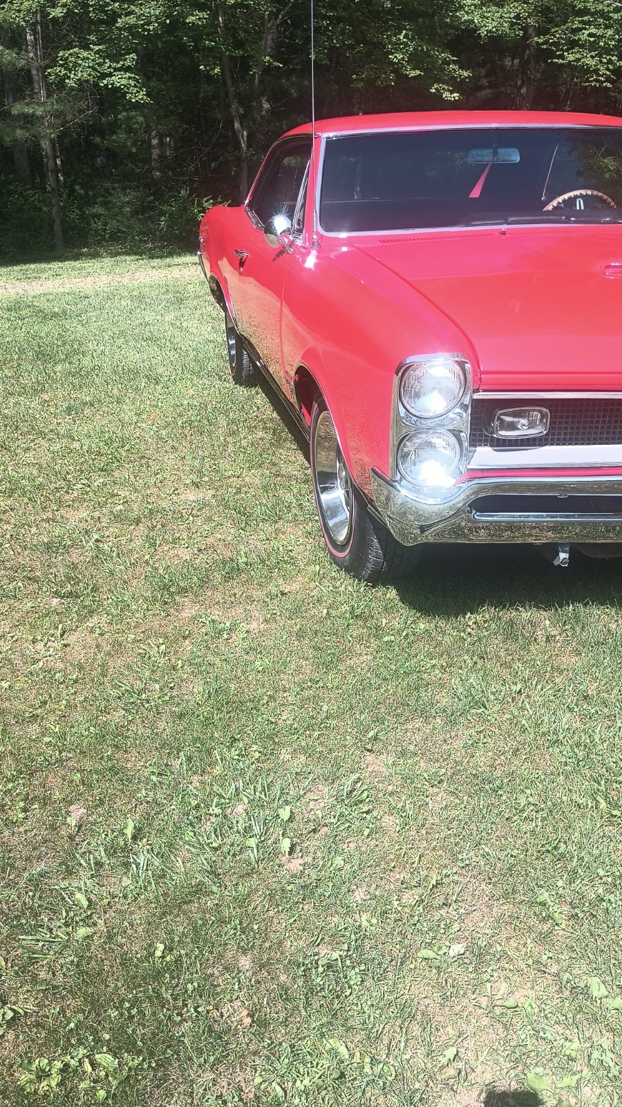 Pontiac-GTO-1966-Coupe-13
