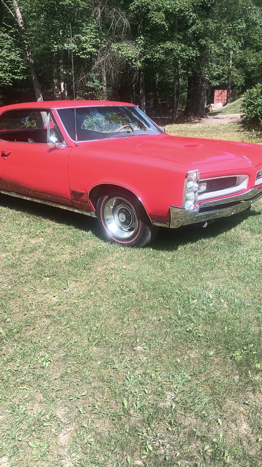 Pontiac-GTO-1966-Coupe-14