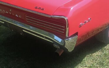 Pontiac-GTO-1966-Coupe-18