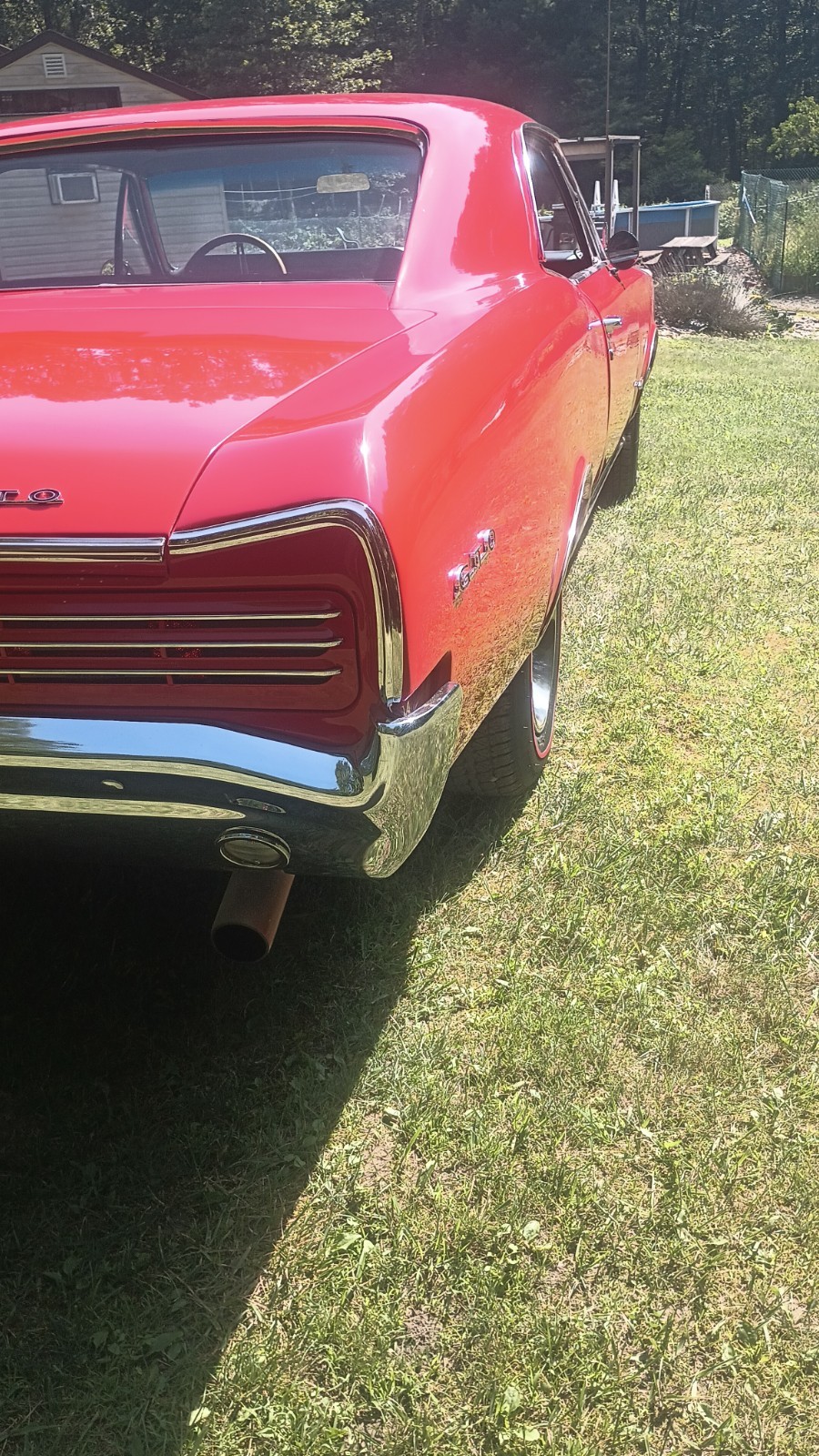 Pontiac-GTO-1966-Coupe-19