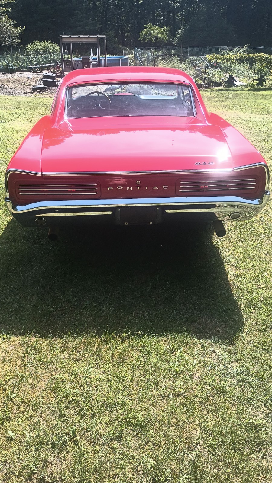 Pontiac-GTO-1966-Coupe-20