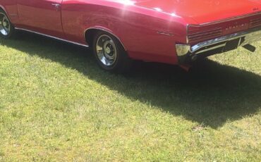 Pontiac-GTO-1966-Coupe-21