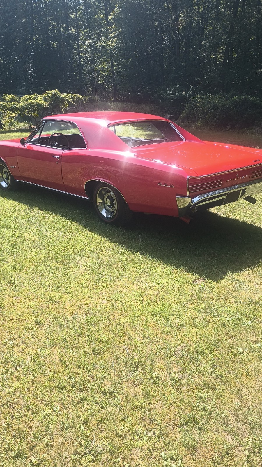 Pontiac-GTO-1966-Coupe-21