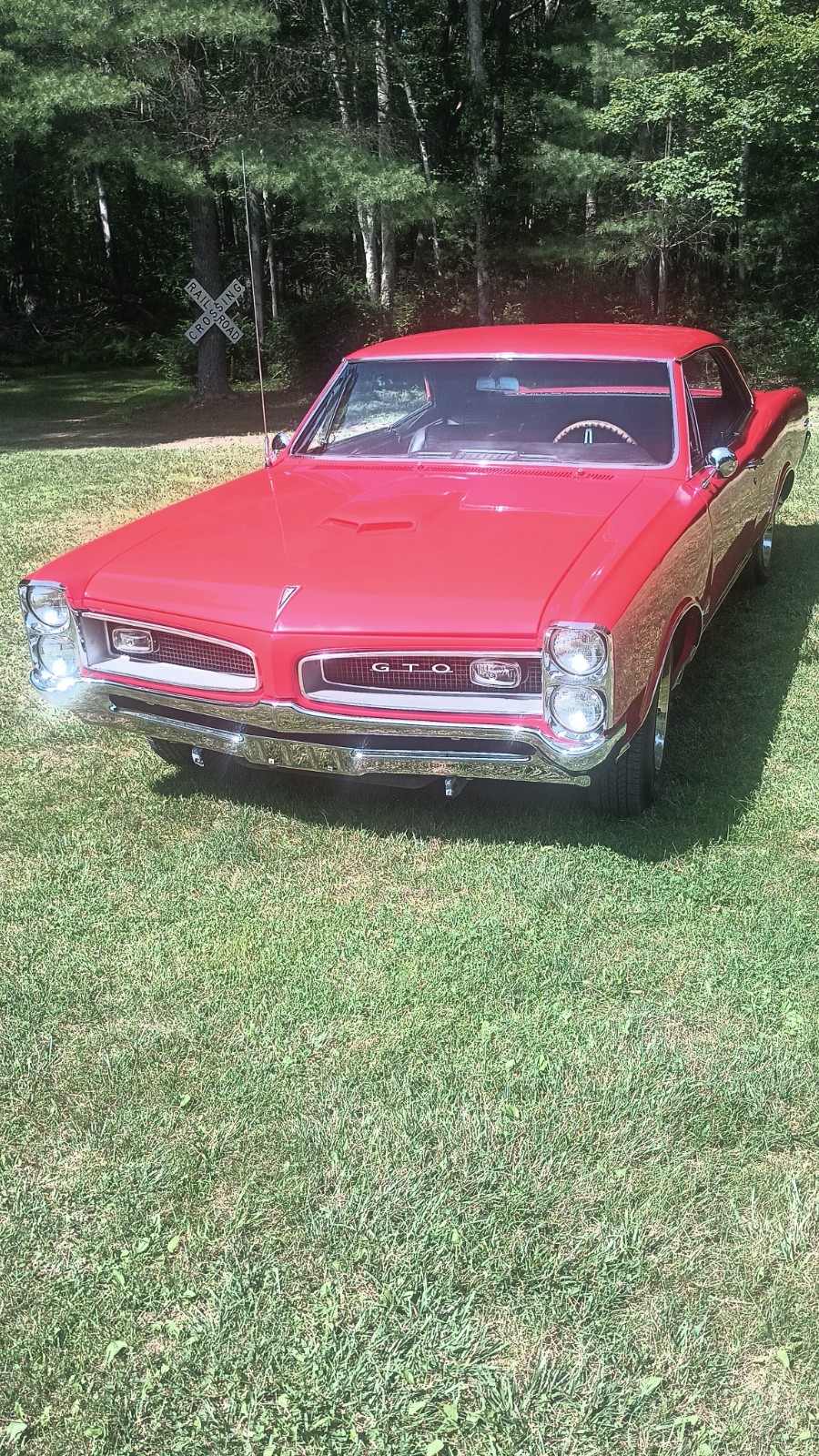 Pontiac-GTO-1966-Coupe-24