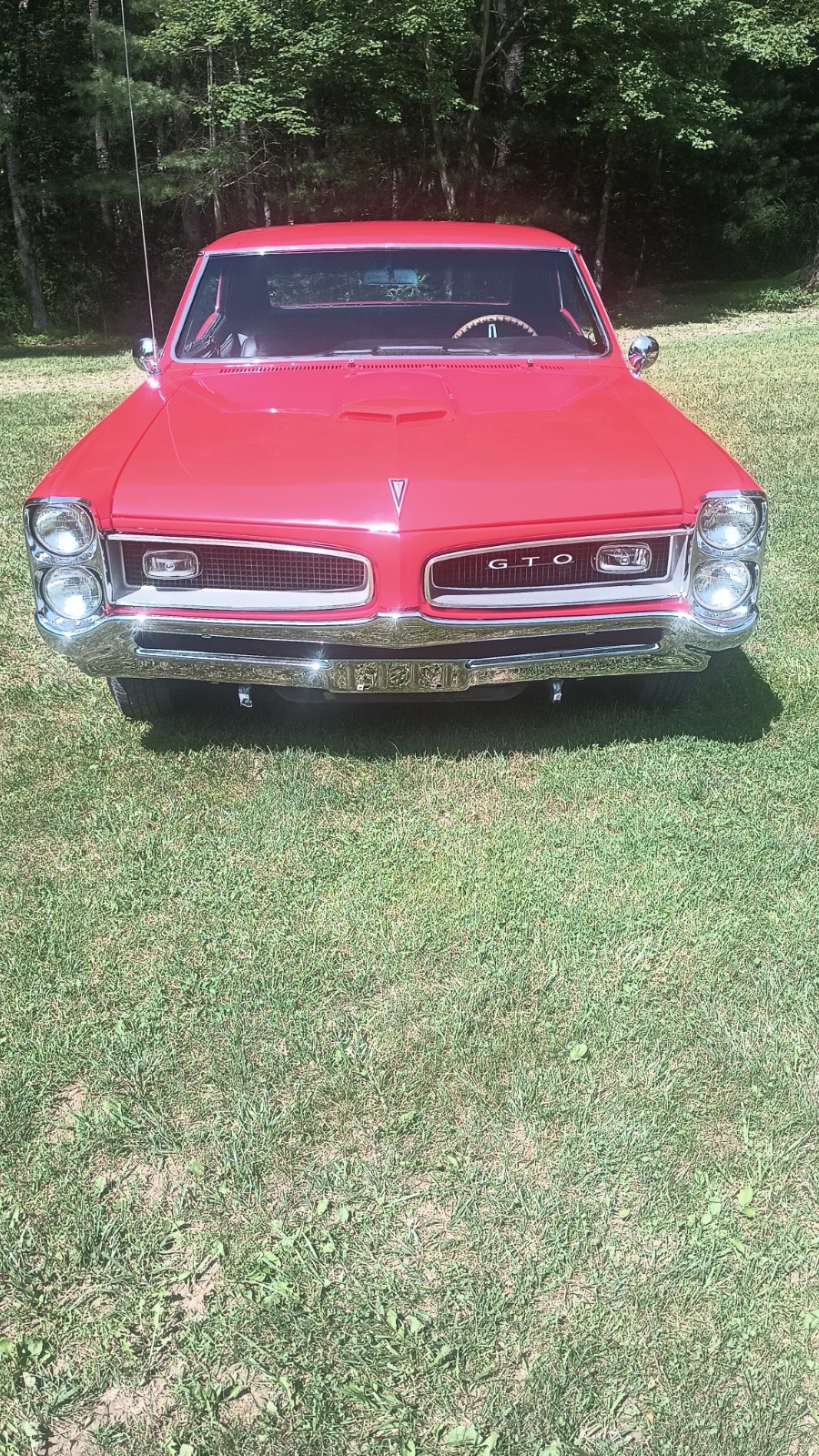 Pontiac-GTO-1966-Coupe-25