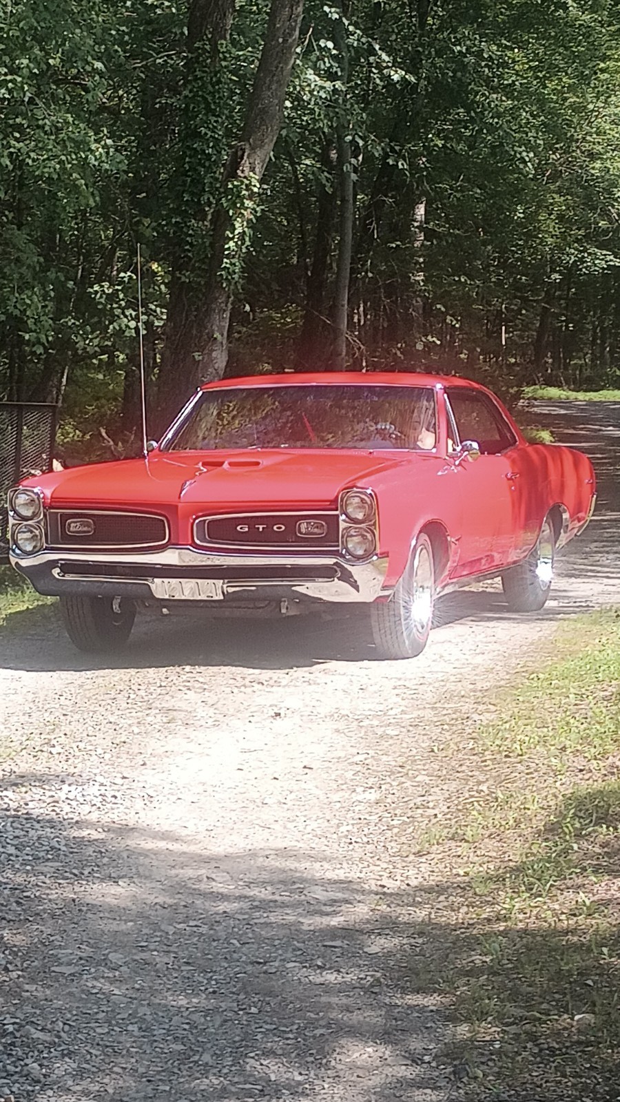 Pontiac-GTO-1966-Coupe-28