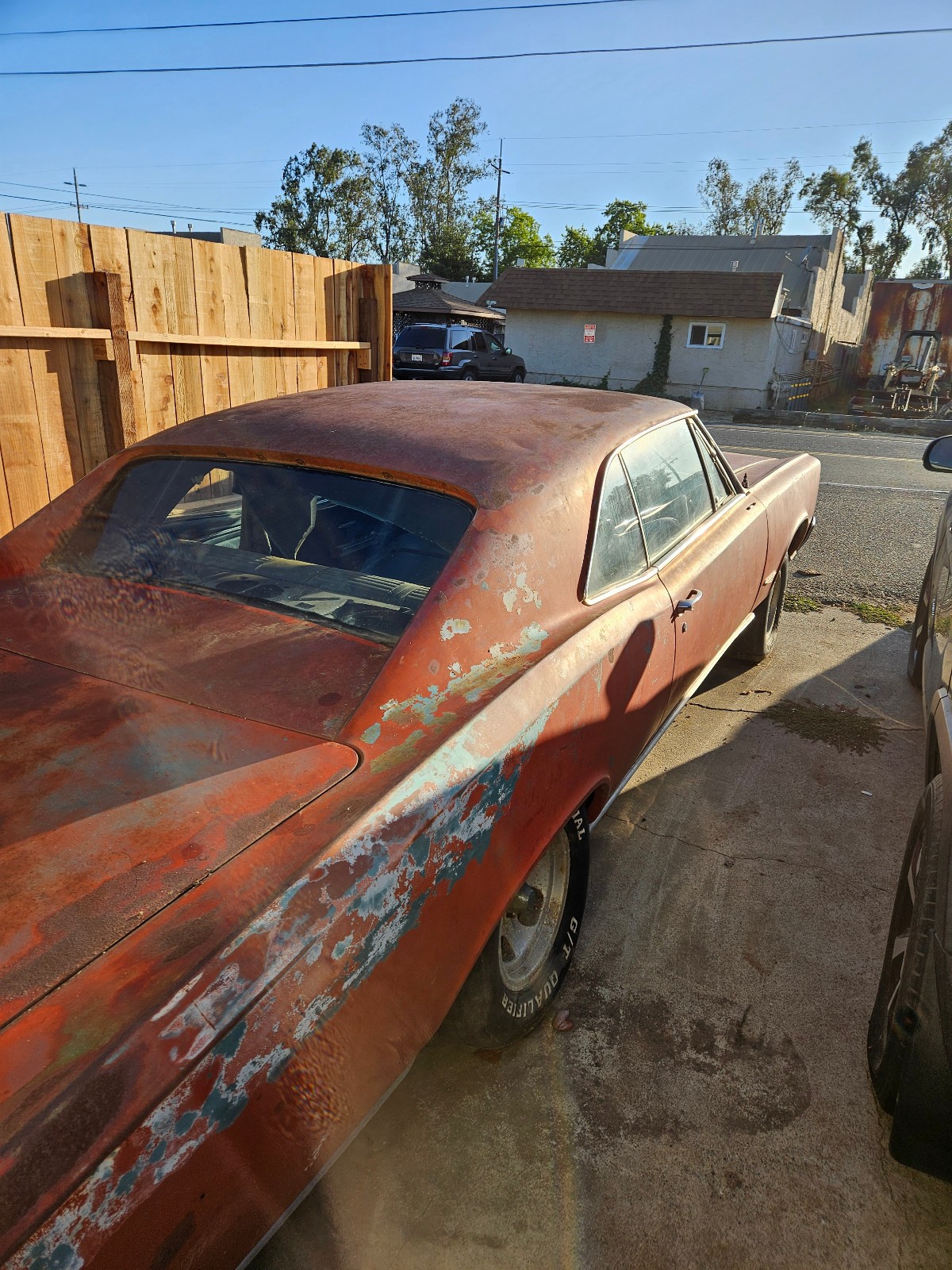 Pontiac-GTO-1966-Coupe-3