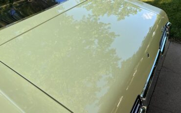 Pontiac-GTO-1969-Coupe-15