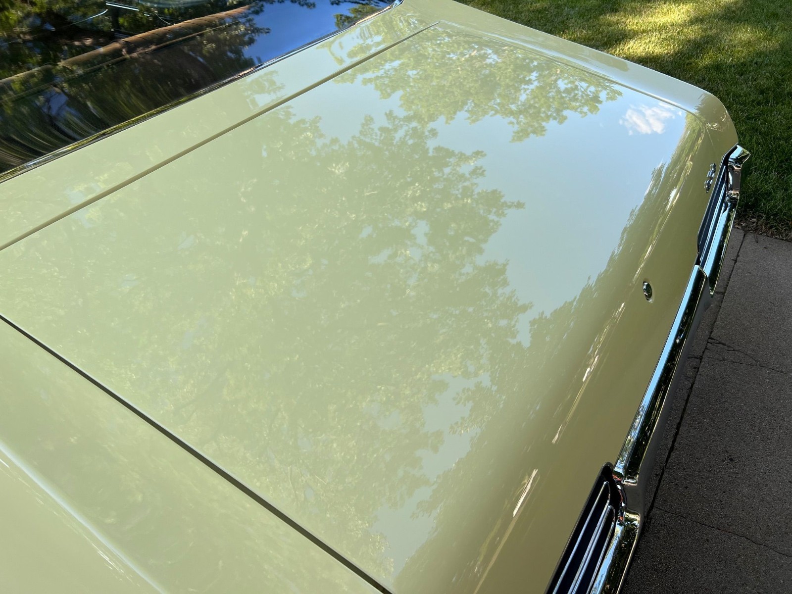Pontiac-GTO-1969-Coupe-15